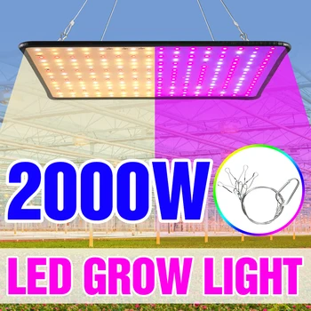 1000W Augti Šviesos diodų (Led) Pilno Spektro Lempa 1500W 2000W Led Augalų Lemputės Šiltnamiuose Patalpų Fito Lempa Auga Palapinė JAV, ES, UK Plug